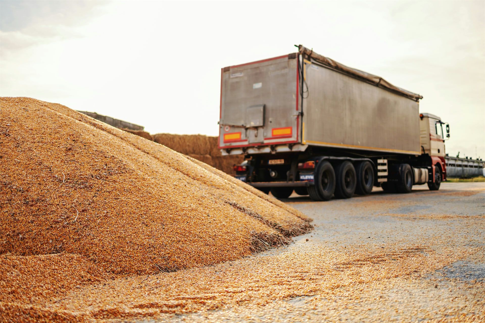 feed-truck